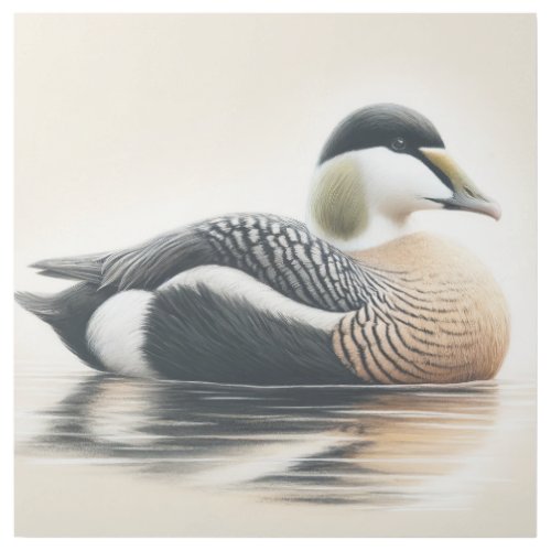 Spectacled Eider AREF475 _ Watercolor Gallery Wrap