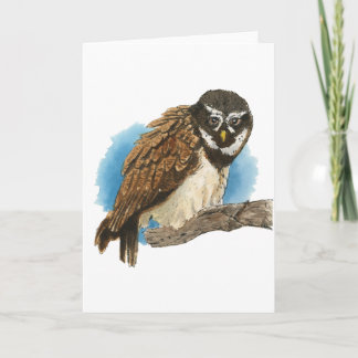 Spectacled Owl Greeting Card