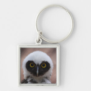 Spectacled Owl Keychain