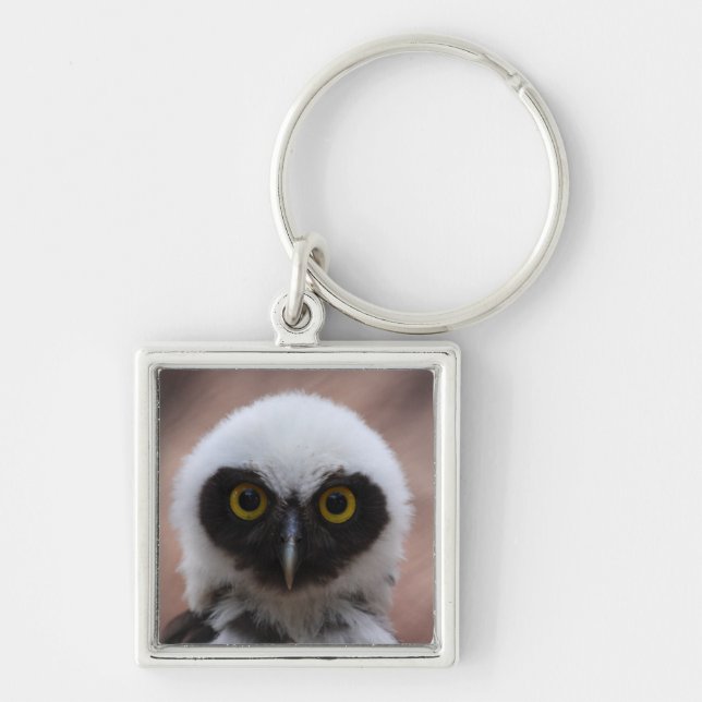 Spectacled Owl Keychain (Front)