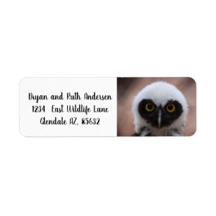 Spectacled Owl Label