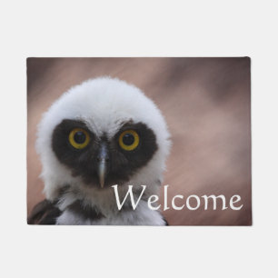 Spectacled Owl, Welcome Doormat