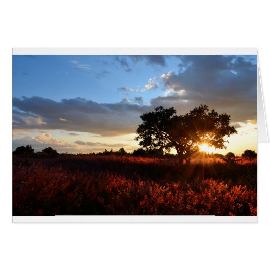 Spectacular African Sunset Cards (Front Horizontal)