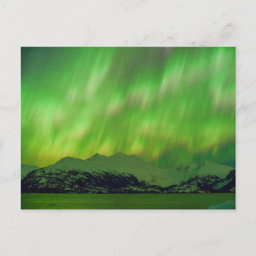 Spectacular Aurora Postcard
