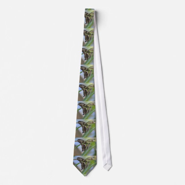 Spectacular Butterfly Neck Tie (Front)
