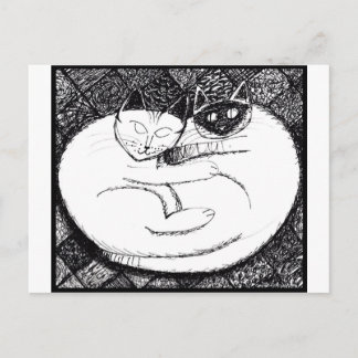 Spectacular Cats 3 Postcard