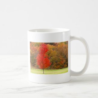 Spectacular Fall Colors Coffee Mug