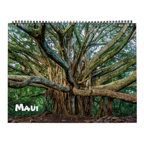 Spectacular Maui Calendar