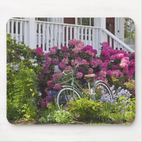 Spectacular spring bloom whimsical antique mouse pad