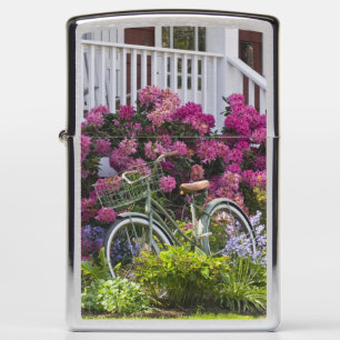 Spectacular spring bloom, whimsical antique zippo lighter