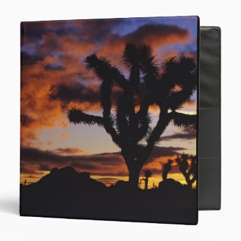 Spectacular Sunrise At Joshua Tree National 3 Ring Binder by OneWithNature at Zazzle