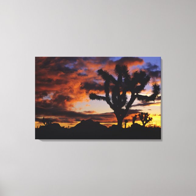 Spectacular Sunrise at Joshua Tree National Canvas Print (Front)