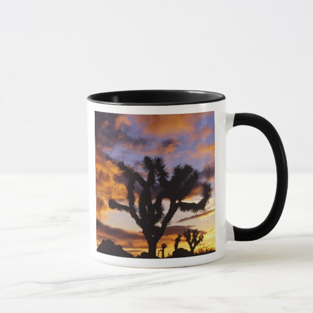 Spectacular Sunrise at Joshua Tree National Park Mug (Right)