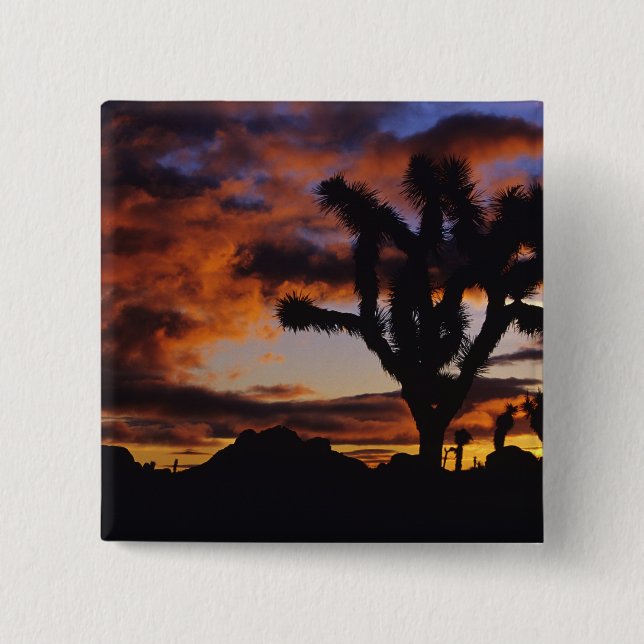 Spectacular Sunrise at Joshua Tree National Pinback Button (Front)
