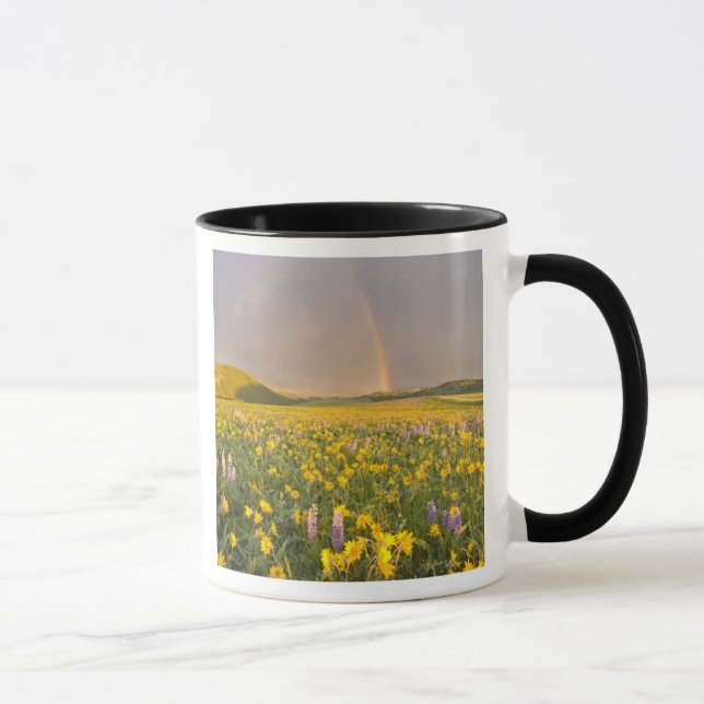 Spectacular wildflower meadow at sunrise in 2 mug (Right)