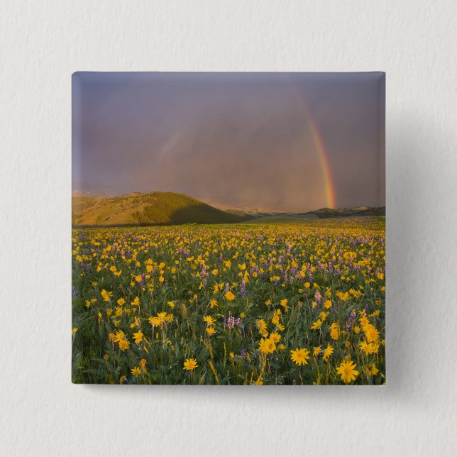 Spectacular wildflower meadow at sunrise in the 2 button (Front)