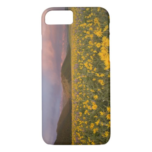 Spectacular wildflower meadow at sunrise in the iPhone 87 case