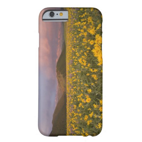 Spectacular wildflower meadow at sunrise in the barely there iPhone 6 case
