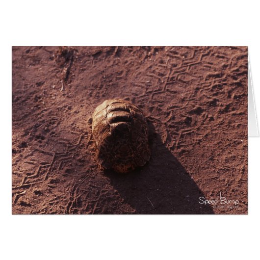 Speed Bump (Front Horizontal)