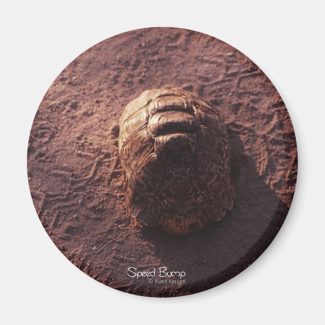 Speed Bump Magnet (Front)