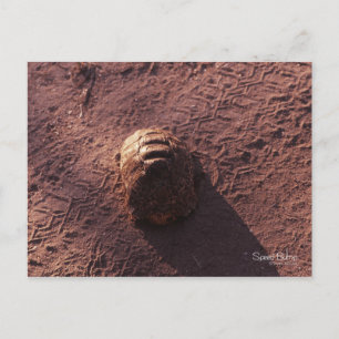 Speed Bump Postcard