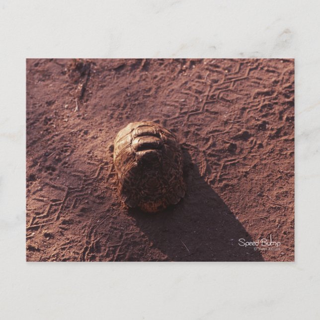 Speed Bump Postcard (Front)