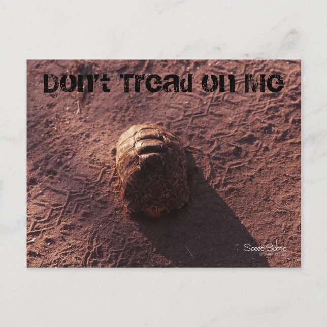 Speed Bump Postcard (Front)