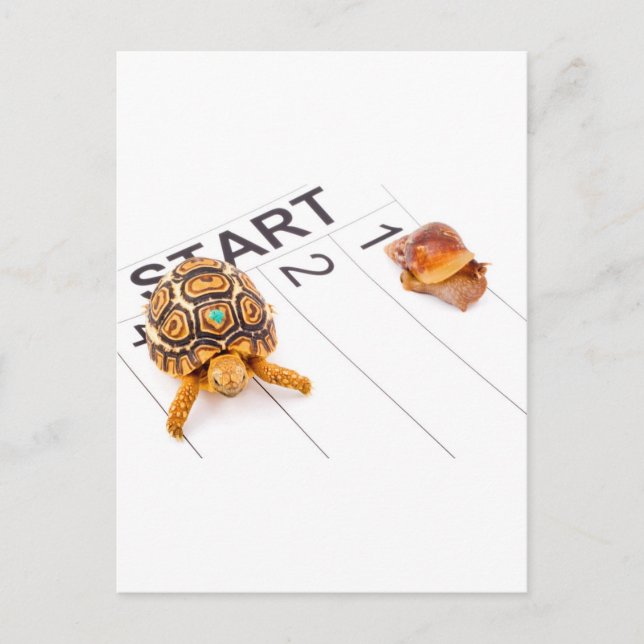 Speed Postcard (Front)