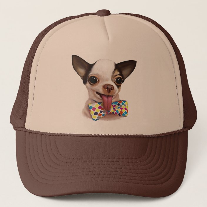 chihuahua baseball hat