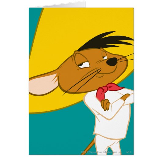 SPEEDY GONZALES™ Confident Color Cards (Front)