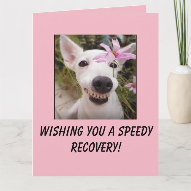 Speedy Recovery Dog with Flower Big Card (Front)