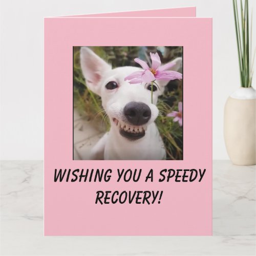 Speedy Recovery Dog with Flower Big Card