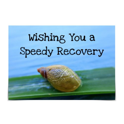 Speedy Recovery Get Better Soon Snail Card