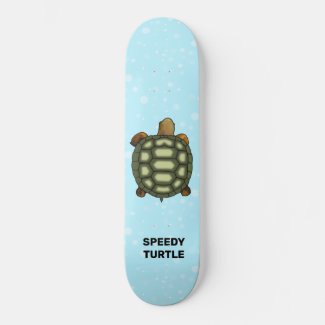 Speedy Tortoise on Light Blue