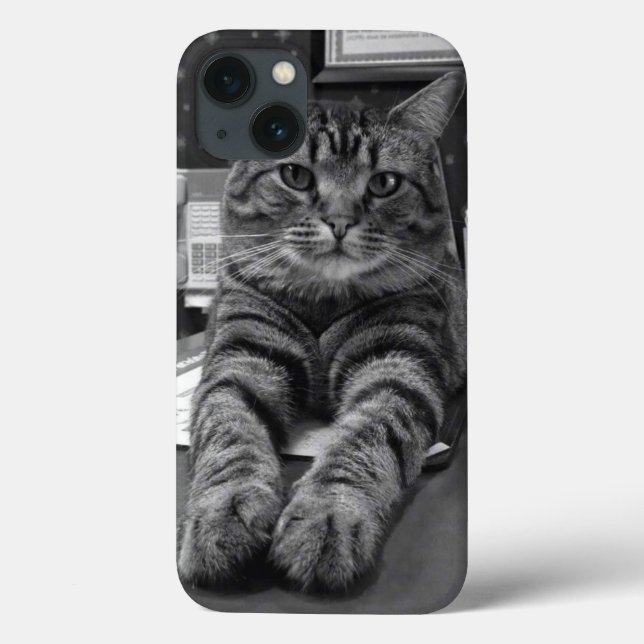 Spencer Cat iPhone 6 Case (Back)