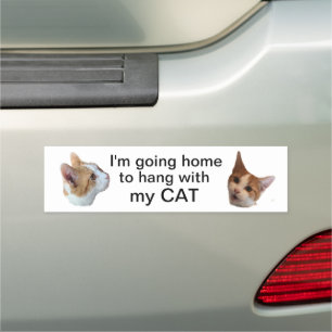 Spend time with my cat car magnet