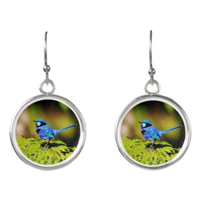 Spendid Fairy Wren Australia Earrings (Front)