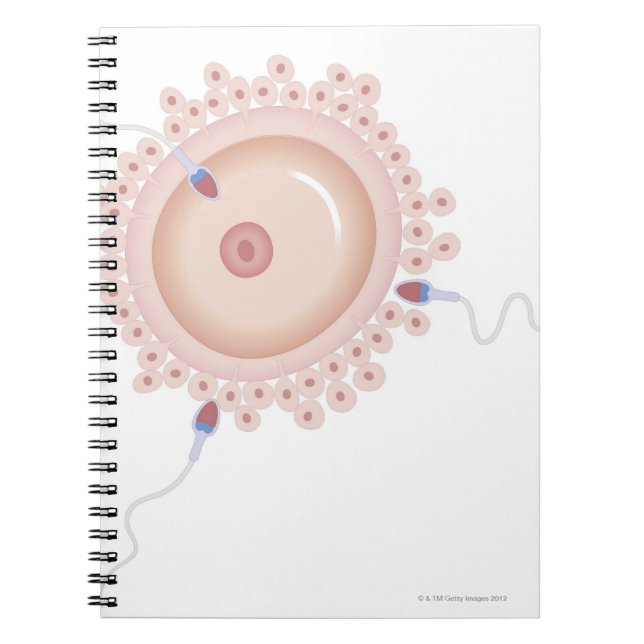 Sperm Containing Mutated Gene Notebook (Front)