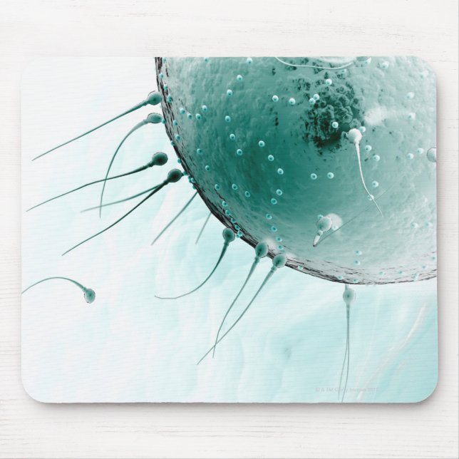 Sperm Fertilising an Ovum. Mouse Pad (Front)