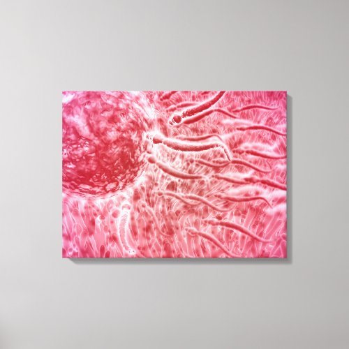 Sperm Traveling Towards Egg With Cellia Canvas Print