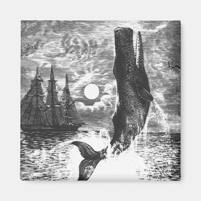 Sperm Whale Breaching, Vintage Marine Life Animals Magnet (Front)