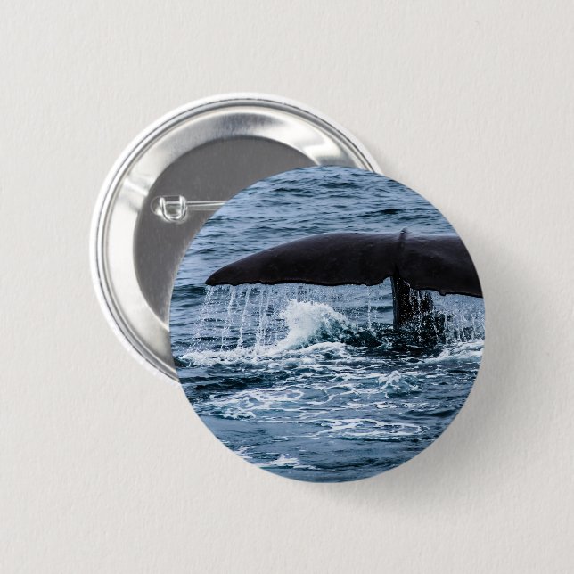 Sperm Whale Button (Front & Back)