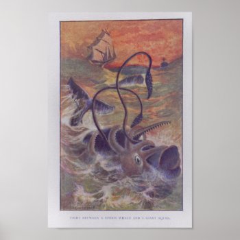 Sperm Whale Giant Squid Fight Color Print by AcupunctureProducts at Zazzle