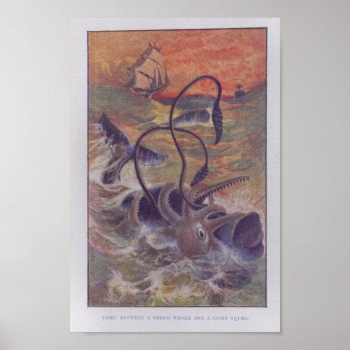 Sperm Whale Giant Squid Fight Color Print