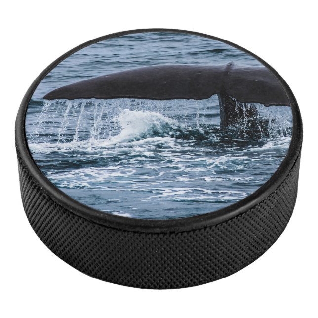 Sperm Whale Hockey Puck (3/4)