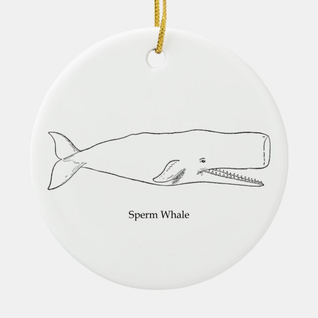 Sperm Whale Illustration (line art) Ceramic Ornament (Front)