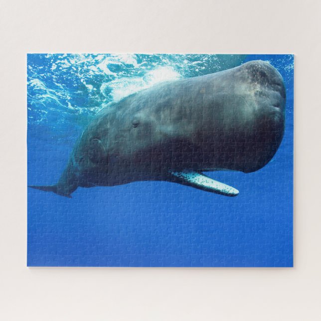 Sperm Whale Jigsaw Puzzle (Horizontal)