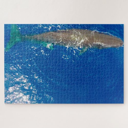 Sperm Whale Jigsaw Puzzle