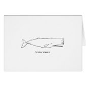 Sperm Whale (line art) (Front Horizontal)