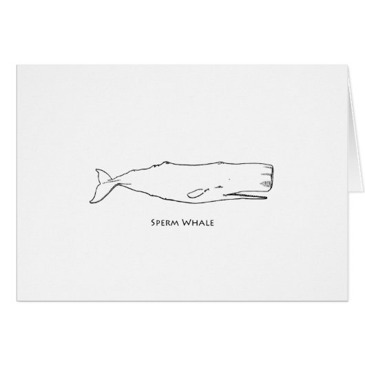 Sperm Whale (line art) Cards (Front Horizontal)